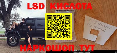 шишки Жуковский