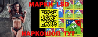 шишки Жуковский