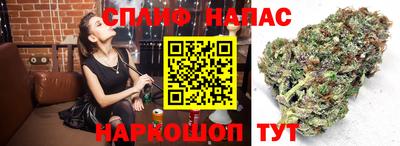 каннабис Заводоуковск