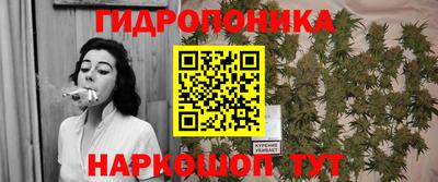 шишки Жуковский